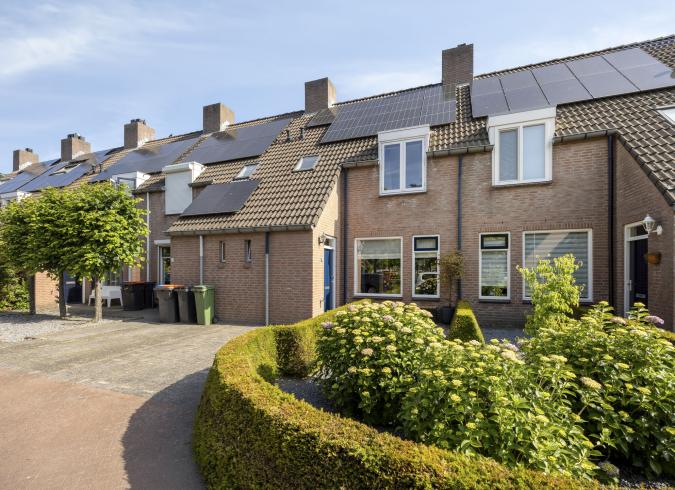 Akkerwinde